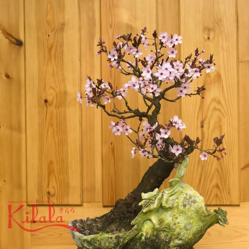 Bộ môn nghệ thuật xứ Phù Tang Bộ môn nghệ thuật xứ Phù Tang
